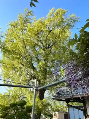 丹生酒殿神社の{uncategorized: "未分類", other: "その他", undefined: "問題あり", building: "その他建物", grave: "お墓", sacred_gate: "鳥居", guardian: "狛犬", statue: "像", buddha: "仏像", history: "歴史", nature: "自然", garden: "庭園", animal: "動物", pagoda: "塔", temizu: "手水舎", mountain_gate: "山門・神門", sanctuary: "本殿・本堂", subordinate: "末社・摂社", art: "芸術", scenery: "景色", jizo: "地蔵", ema: "絵馬", goshuin: "御朱印", omikuji: "おみくじ", items: "授与品その他", amulet: "お守り", goshuincho: "御朱印帳", eats: "食事", festival: "お祭り", votive_dance: "神楽", shichigosan: "七五三参", wedding: "結婚式", experience: "体験その他", initially: "初詣", around: "周辺", anti_infection: "感染症対策"}