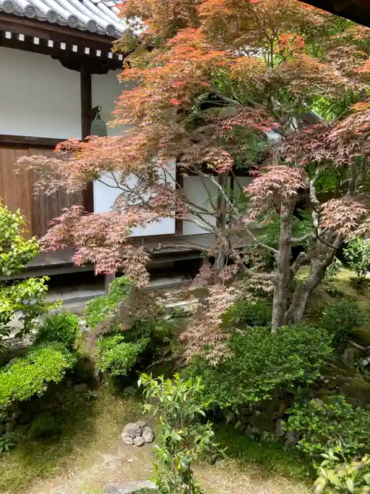 安楽寺(京都府)