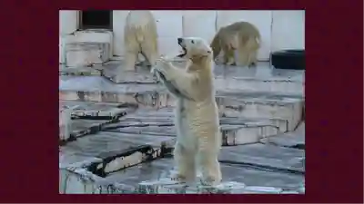 北海道神宮(北海道)