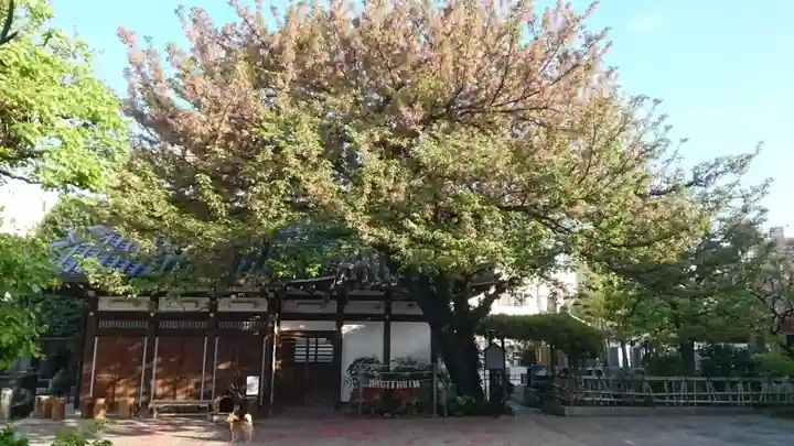 感通寺(東京都)