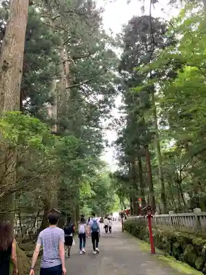 箱根神社(神奈川県)