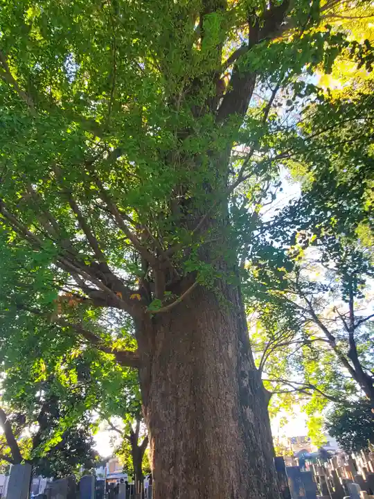 長久寺(埼玉県)