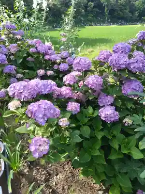 二本松寺(茨城県)