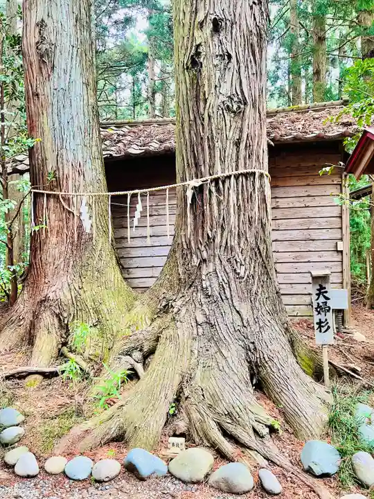 坪沼八幡神社(宮城県)