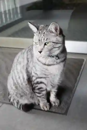 回向院(東京都)