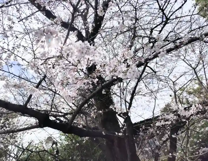 阿佐ヶ谷神明宮の{uncategorized: "未分類", other: "その他", undefined: "問題あり", building: "その他建物", grave: "お墓", sacred_gate: "鳥居", guardian: "狛犬", statue: "像", buddha: "仏像", history: "歴史", nature: "自然", garden: "庭園", animal: "動物", pagoda: "塔", temizu: "手水舎", mountain_gate: "山門・神門", sanctuary: "本殿・本堂", subordinate: "末社・摂社", art: "芸術", scenery: "景色", jizo: "地蔵", ema: "絵馬", goshuin: "御朱印", omikuji: "おみくじ", items: "授与品その他", amulet: "お守り", goshuincho: "御朱印帳", eats: "食事", festival: "お祭り", votive_dance: "神楽", shichigosan: "七五三参", wedding: "結婚式", experience: "体験その他", initially: "初詣", around: "周辺", anti_infection: "感染症対策"}