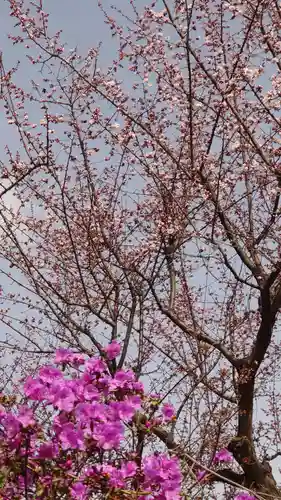 相馬神社の自然