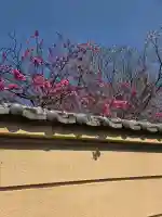 中院の{uncategorized: "未分類", other: "その他", undefined: "問題あり", building: "その他建物", grave: "お墓", sacred_gate: "鳥居", guardian: "狛犬", statue: "像", buddha: "仏像", history: "歴史", nature: "自然", garden: "庭園", animal: "動物", pagoda: "塔", temizu: "手水舎", mountain_gate: "山門・神門", sanctuary: "本殿・本堂", subordinate: "末社・摂社", art: "芸術", scenery: "景色", jizo: "地蔵", ema: "絵馬", goshuin: "御朱印", omikuji: "おみくじ", items: "授与品その他", amulet: "お守り", goshuincho: "御朱印帳", eats: "食事", festival: "お祭り", votive_dance: "神楽", shichigosan: "七五三参", wedding: "結婚式", experience: "体験その他", initially: "初詣", around: "周辺", anti_infection: "感染症対策"}