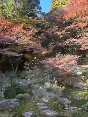 財賀寺(愛知県)