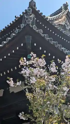 満願寺(京都府)