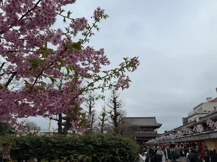 浅草寺の{uncategorized: "未分類", other: "その他", undefined: "問題あり", building: "その他建物", grave: "お墓", sacred_gate: "鳥居", guardian: "狛犬", statue: "像", buddha: "仏像", history: "歴史", nature: "自然", garden: "庭園", animal: "動物", pagoda: "塔", temizu: "手水舎", mountain_gate: "山門・神門", sanctuary: "本殿・本堂", subordinate: "末社・摂社", art: "芸術", scenery: "景色", jizo: "地蔵", ema: "絵馬", goshuin: "御朱印", omikuji: "おみくじ", items: "授与品その他", amulet: "お守り", goshuincho: "御朱印帳", eats: "食事", festival: "お祭り", votive_dance: "神楽", shichigosan: "七五三参", wedding: "結婚式", experience: "体験その他", initially: "初詣", around: "周辺", anti_infection: "感染症対策"}