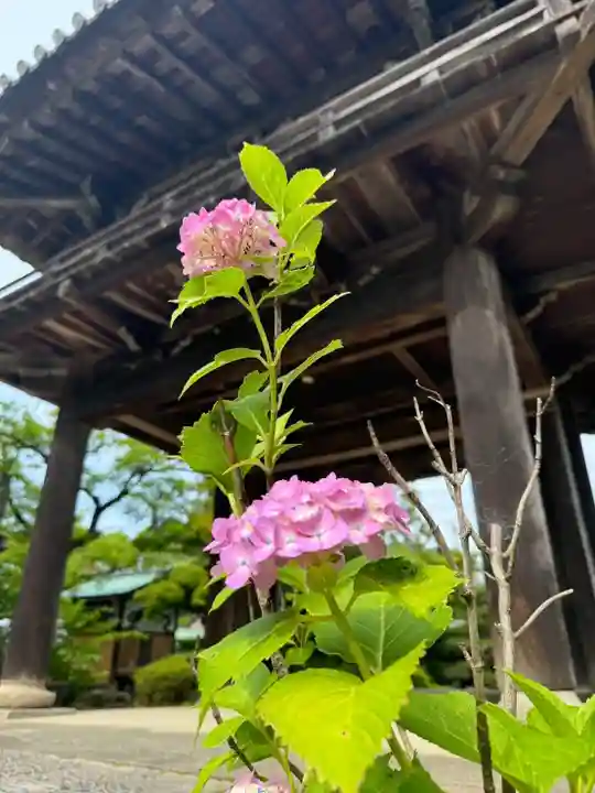 伊勢の国 四天王寺(三重県)