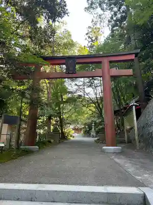 金刀比羅神社の鳥居