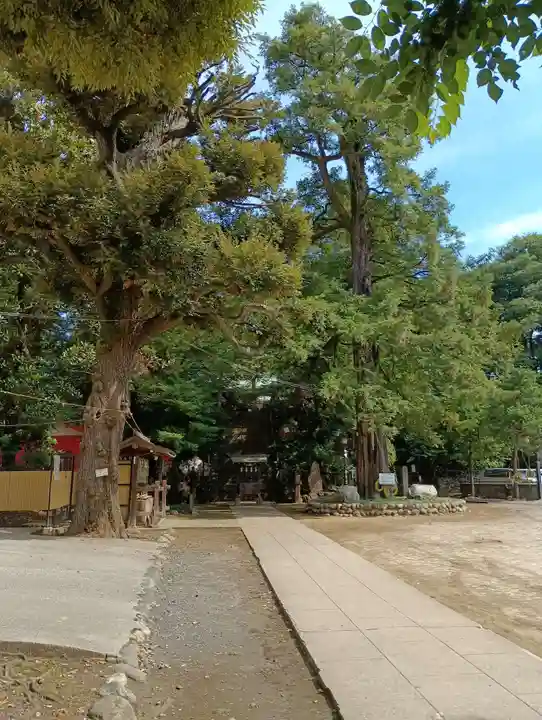 駒込富士神社(東京都)