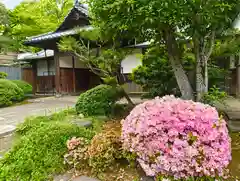 根津神社(東京都)