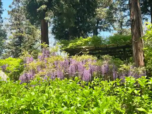 歌泉堂（春日大社神苑萬葉植物園内鎮座）(奈良県)