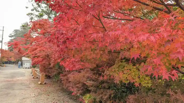 鍬山神社の自然