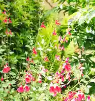 寿量山 速成寺の庭園