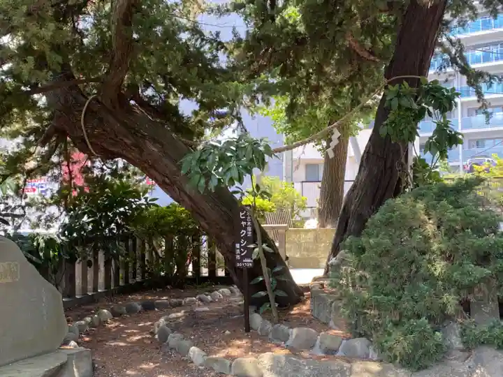 瀬戸神社の自然