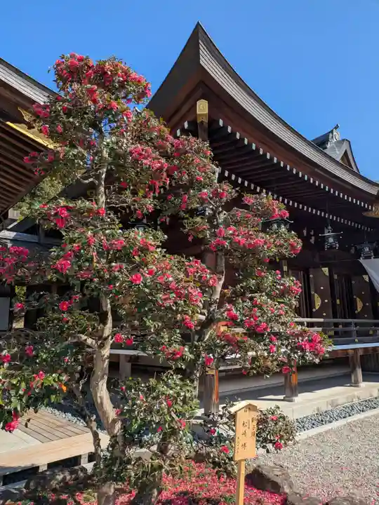 大神神社(奈良県)