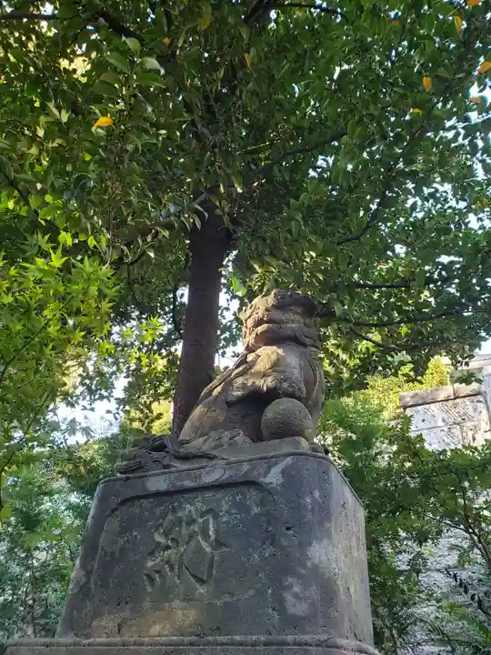西向天神社の狛犬
