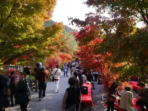 禅林寺（永観堂）の自然