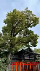 堀越神社(大阪府)