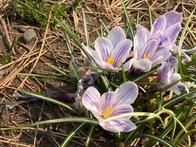 南線神社(北海道)