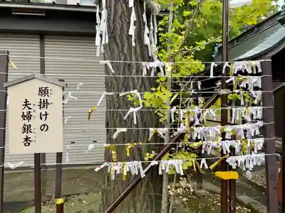 溝口神社のその他建物