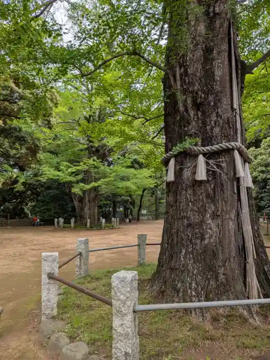 赤坂氷川神社(東京都)