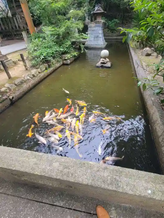 石鎚神社 口之宮 本社(愛媛県)