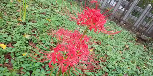 平野神社(京都府)
