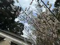 豊景神社の{uncategorized: "未分類", other: "その他", undefined: "問題あり", building: "その他建物", grave: "お墓", sacred_gate: "鳥居", guardian: "狛犬", statue: "像", buddha: "仏像", history: "歴史", nature: "自然", garden: "庭園", animal: "動物", pagoda: "塔", temizu: "手水舎", mountain_gate: "山門・神門", sanctuary: "本殿・本堂", subordinate: "末社・摂社", art: "芸術", scenery: "景色", jizo: "地蔵", ema: "絵馬", goshuin: "御朱印", omikuji: "おみくじ", items: "授与品その他", amulet: "お守り", goshuincho: "御朱印帳", eats: "食事", festival: "お祭り", votive_dance: "神楽", shichigosan: "七五三参", wedding: "結婚式", experience: "体験その他", initially: "初詣", around: "周辺", anti_infection: "感染症対策"}