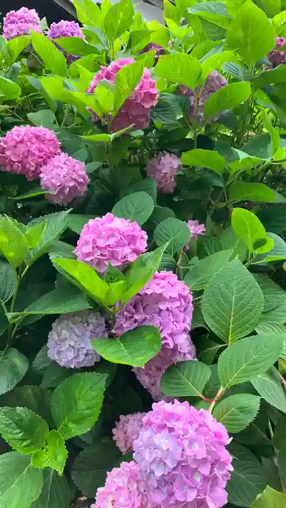 西法院(岡山県)