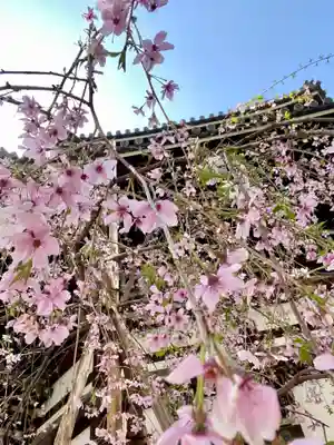 頂法寺（六角堂）(京都府)