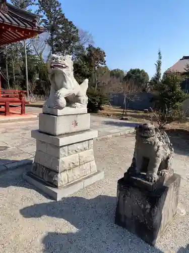 古尾谷八幡神社の狛犬