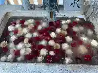 札幌諏訪神社の手水舎