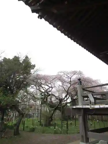 般若院(茨城県)