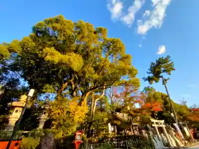 八坂神社(祇園さん)のその他建物