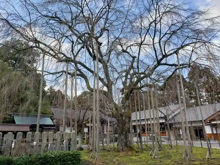 足羽神社の庭園