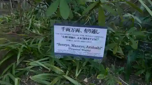 上野東照宮の{uncategorized: "未分類", other: "その他", undefined: "問題あり", building: "その他建物", grave: "お墓", sacred_gate: "鳥居", guardian: "狛犬", statue: "像", buddha: "仏像", history: "歴史", nature: "自然", garden: "庭園", animal: "動物", pagoda: "塔", temizu: "手水舎", mountain_gate: "山門・神門", sanctuary: "本殿・本堂", subordinate: "末社・摂社", art: "芸術", scenery: "景色", jizo: "地蔵", ema: "絵馬", goshuin: "御朱印", omikuji: "おみくじ", items: "授与品その他", amulet: "お守り", goshuincho: "御朱印帳", eats: "食事", festival: "お祭り", votive_dance: "神楽", shichigosan: "七五三参", wedding: "結婚式", experience: "体験その他", initially: "初詣", around: "周辺", anti_infection: "感染症対策"}