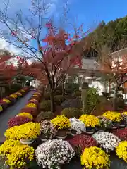 宝徳寺(群馬県)