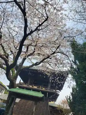 東漸寺(静岡県)