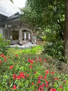 国上寺(新潟県)(2025年05月11日(日) 13時13分54秒投稿)