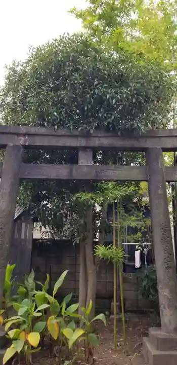 白髭神社の鳥居