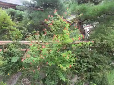 青龍山 吉祥寺(群馬県)