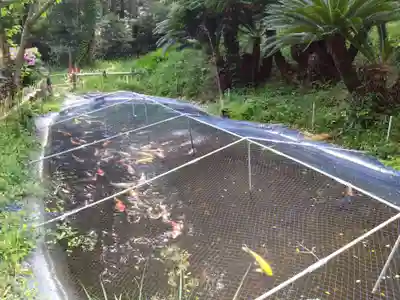 百々神社(愛知県)