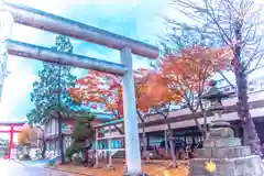 善知鳥神社の鳥居