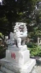 菊田神社の狛犬