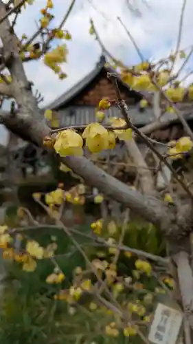 惠心院（恵心院）(京都府)
